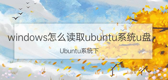 windows怎么读取ubuntu系统u盘 Ubuntu系统下。怎样设置才可从U盘启动？